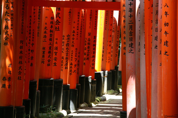 Kyoto - Santuario di Fushimi Inari-taisha