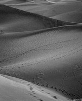 Gran Canaria - Dune di Maspalomas