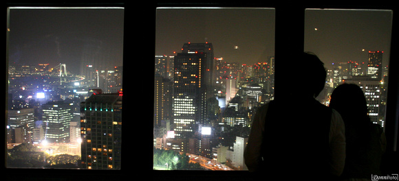 Tokyo - Vista dalla terrazza della Tokyo Tower