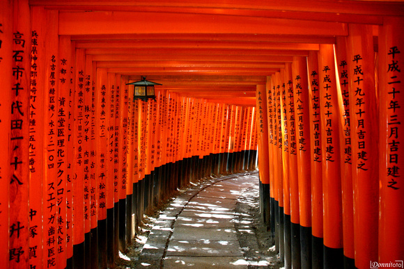 Kyoto - Santuario di Fushimi Inari-taisha