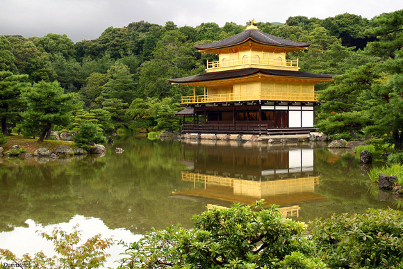 Kyoto - Il tempio Kinkaku-ji (Padiglione d'oro)